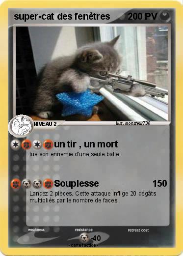 Pokemon super-cat des fenètres
