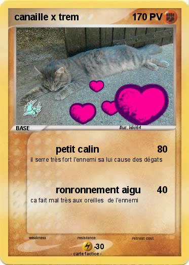 Pokemon canaille x trem