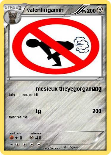 Pokemon valentingamin