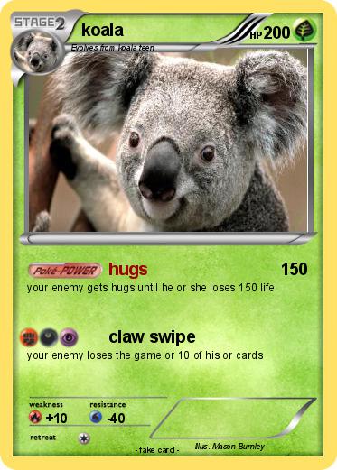 Pokemon koala