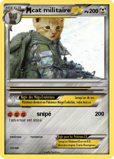 Pokemon cat militaire