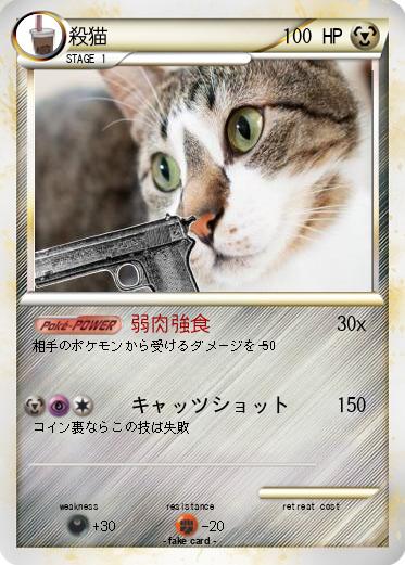 Pokemon 殺猫