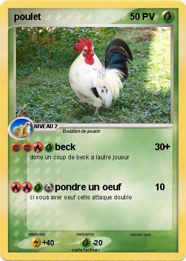 Pokemon poulet