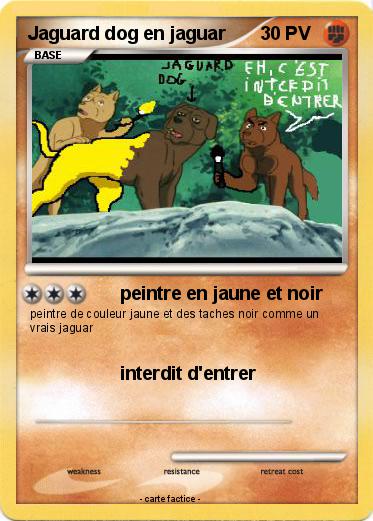 Pokemon Jaguard dog en jaguar