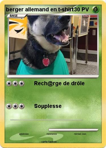 Pokemon berger allemand en t-shirt