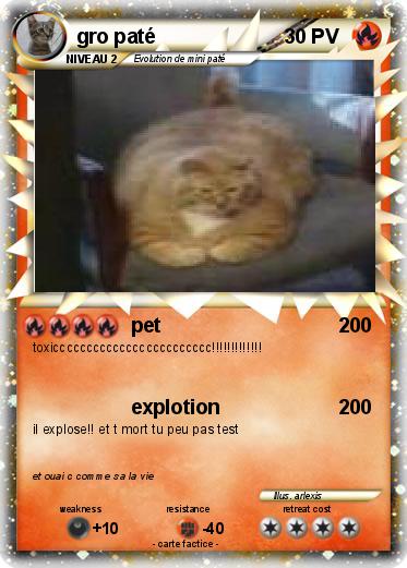 Pokemon gro paté