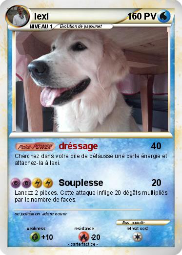 Pokemon lexi