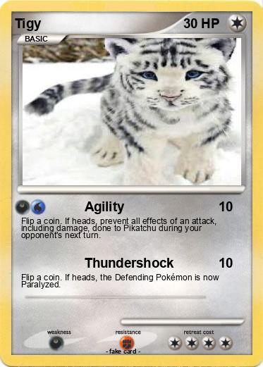 Pokemon Tigy