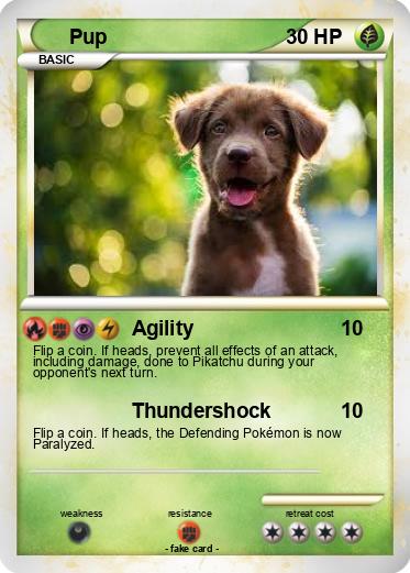 Pokemon Pup
