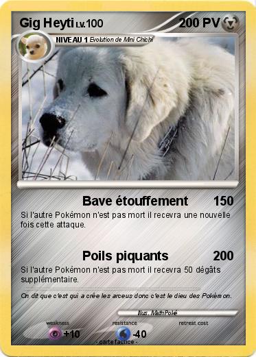 Pokemon Gig Heyti