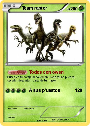 Pokemon Team raptor