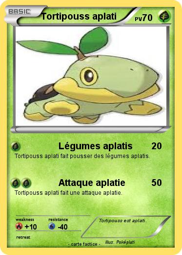 Pokemon Tortipouss aplati