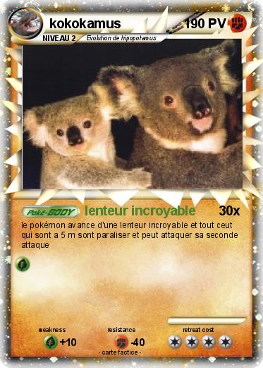 Pokemon kokokamus