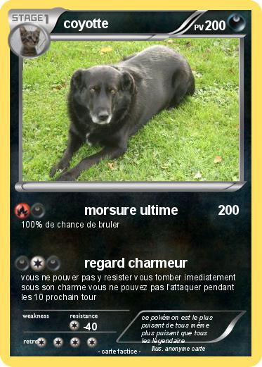 Pokemon coyotte