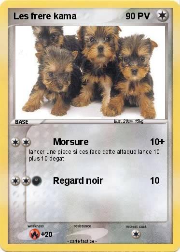 Pokemon Les frere kama