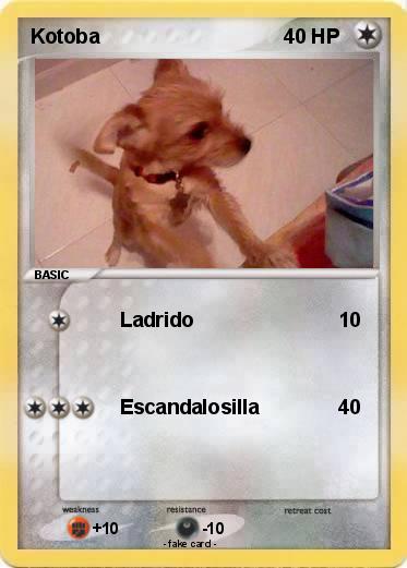 Pokemon Kotoba