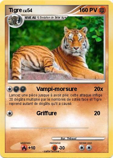 Pokemon Tigre