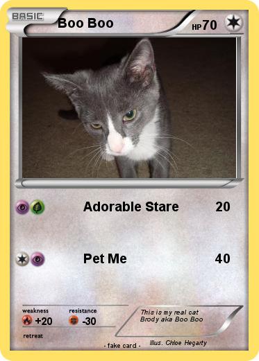 Pokemon Boo Boo