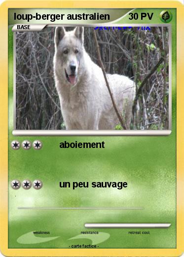 Pokemon loup-berger australien