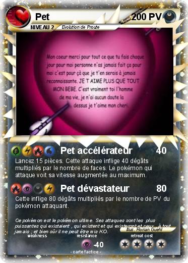 Pokemon Pet