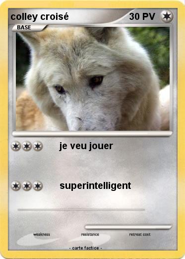 Pokemon colley croisé