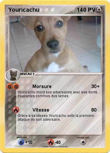 Pokemon Youricachu