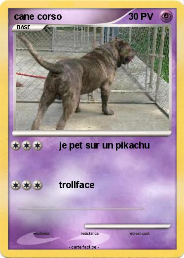Pokemon cane corso