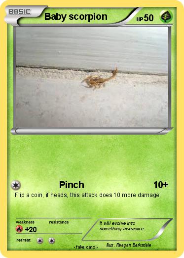 Pokemon Baby scorpion