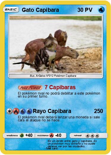 Pokemon Gato Capibara