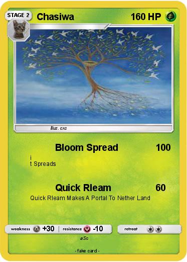Pokemon Chasiwa