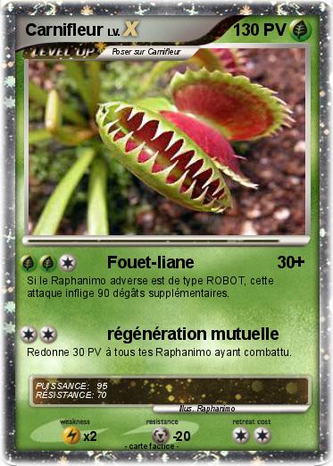 Pokemon Carnifleur