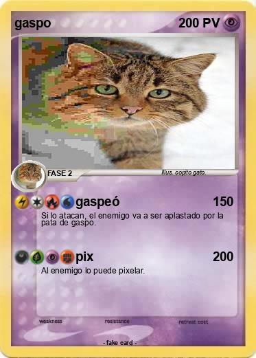 Pokemon gaspo