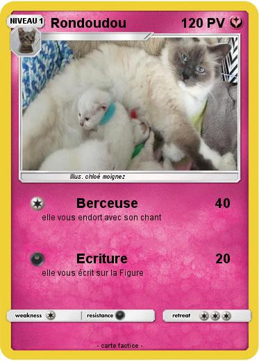 Pokemon Rondoudou