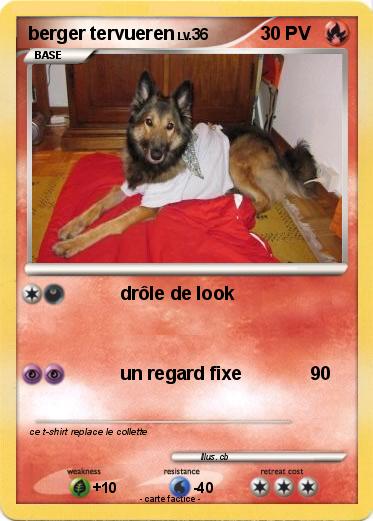 Pokemon berger tervueren