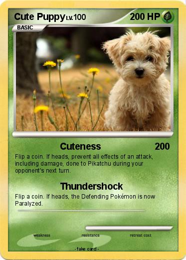 Pokemon Cute Puppy