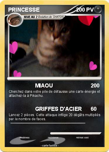 Pokemon PRINCESSE