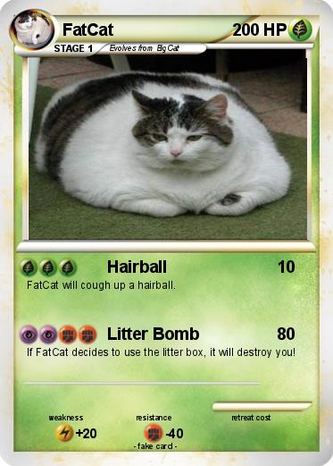Pokemon FatCat