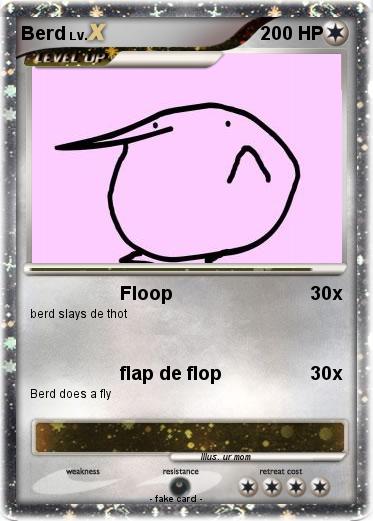 Pokemon Berd