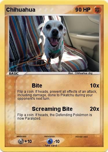 Pokemon Chihuahua