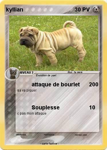 Pokemon kyllian