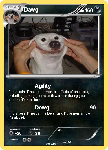 Pokemon Dawg