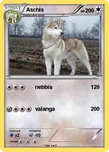 Pokemon Aschis