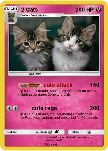 Pokemon 2 Cats