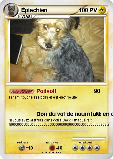 Pokemon Épiechien