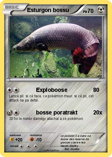 Pokemon Esturgon bossu