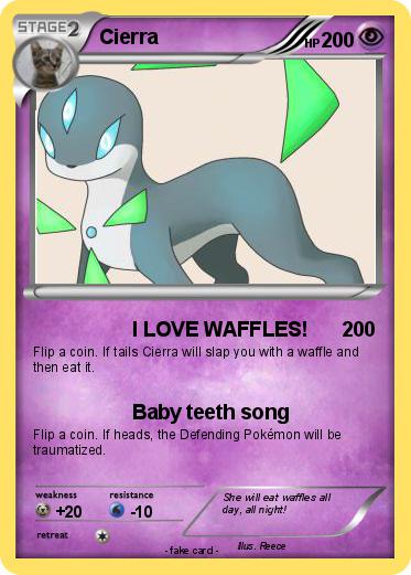 Pokemon Cierra