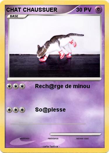 Pokemon CHAT CHAUSSUER