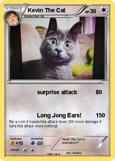 Pokemon Kevin The Cat