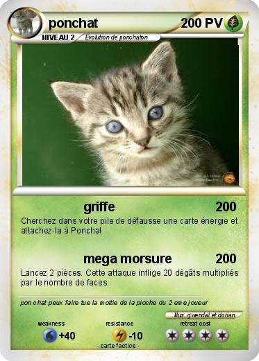 Pokemon ponchat