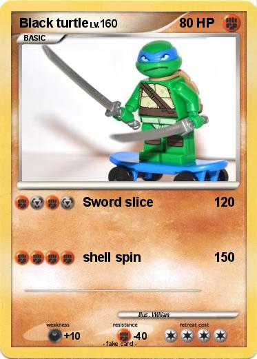 Pokemon Black turtle